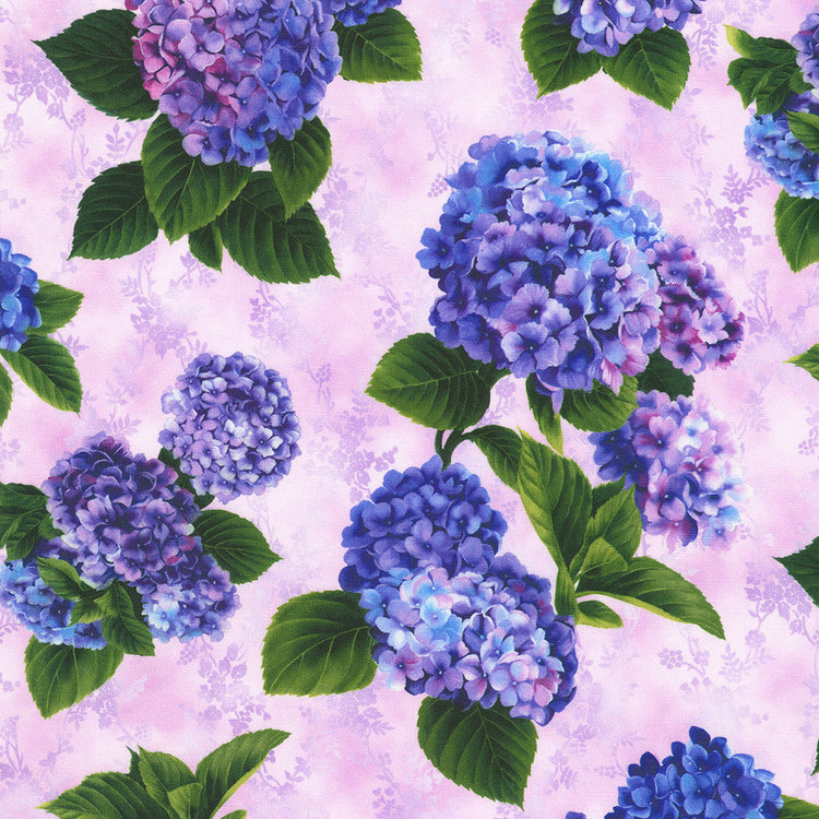 HYDRANGEA GRACE Studio RK