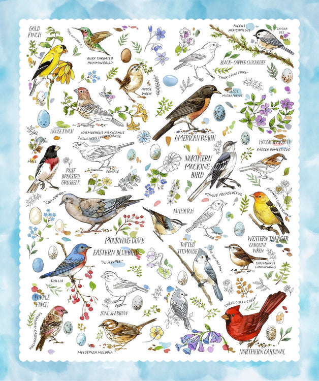 DRAWN TO BIRDS Jane Maday
