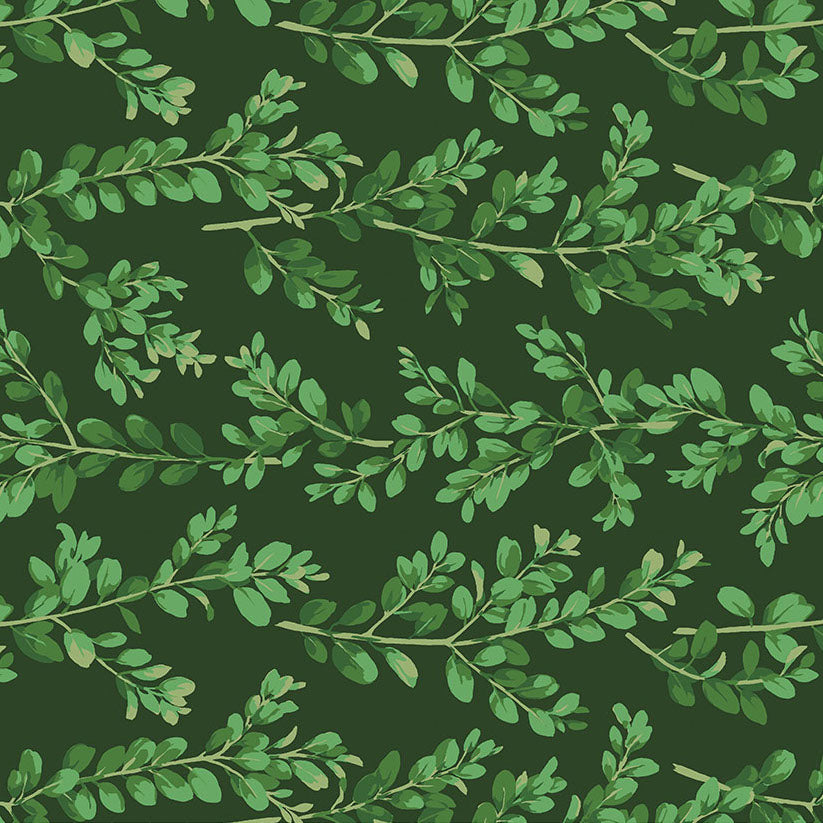 WINTERBERRY Boxwood dark green