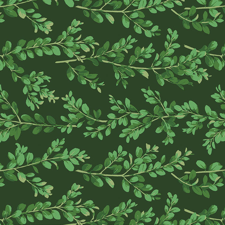 WINTERBERRY Boxwood dark green