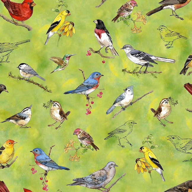 DRAWN TO BIRDS Tossed Birds lt green