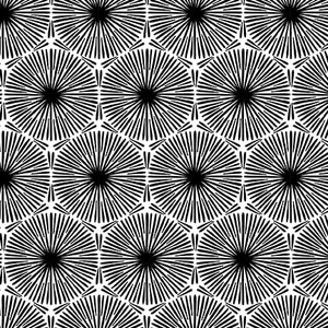 PARADOX II Circles with Lines white