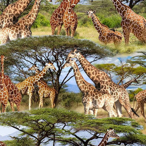 SERENGETI PLAINS Savanna Tower multi