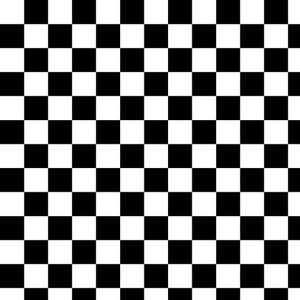 PARADOX Checkerboard white - one yards