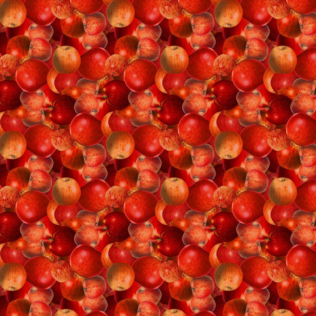 THE SECRET LIFE OF SQUIRRELS III Apples red