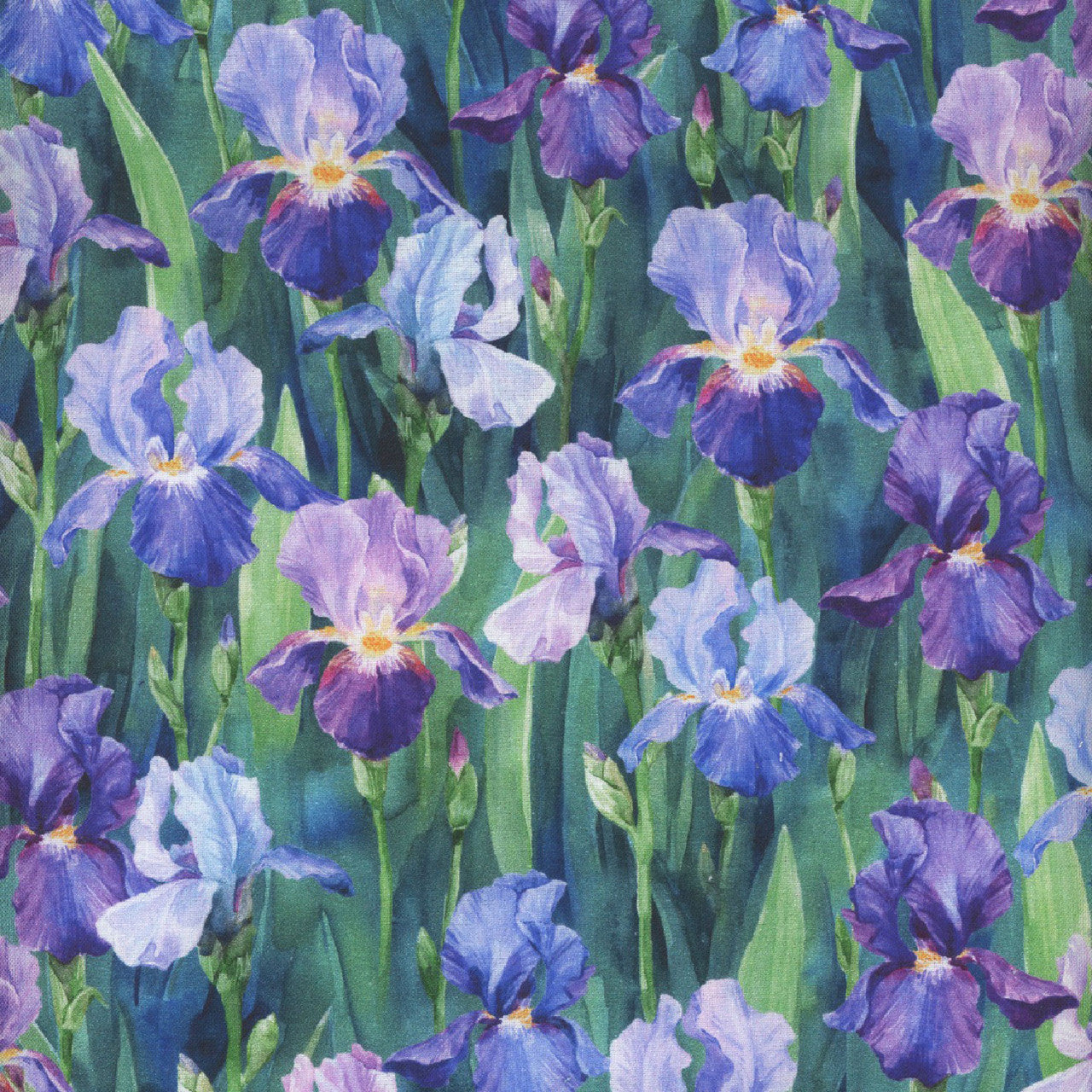 FLOWER SHOPPE W5479-40 iris