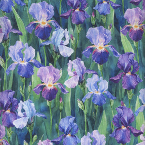 FLOWER SHOPPE W5479-40 iris