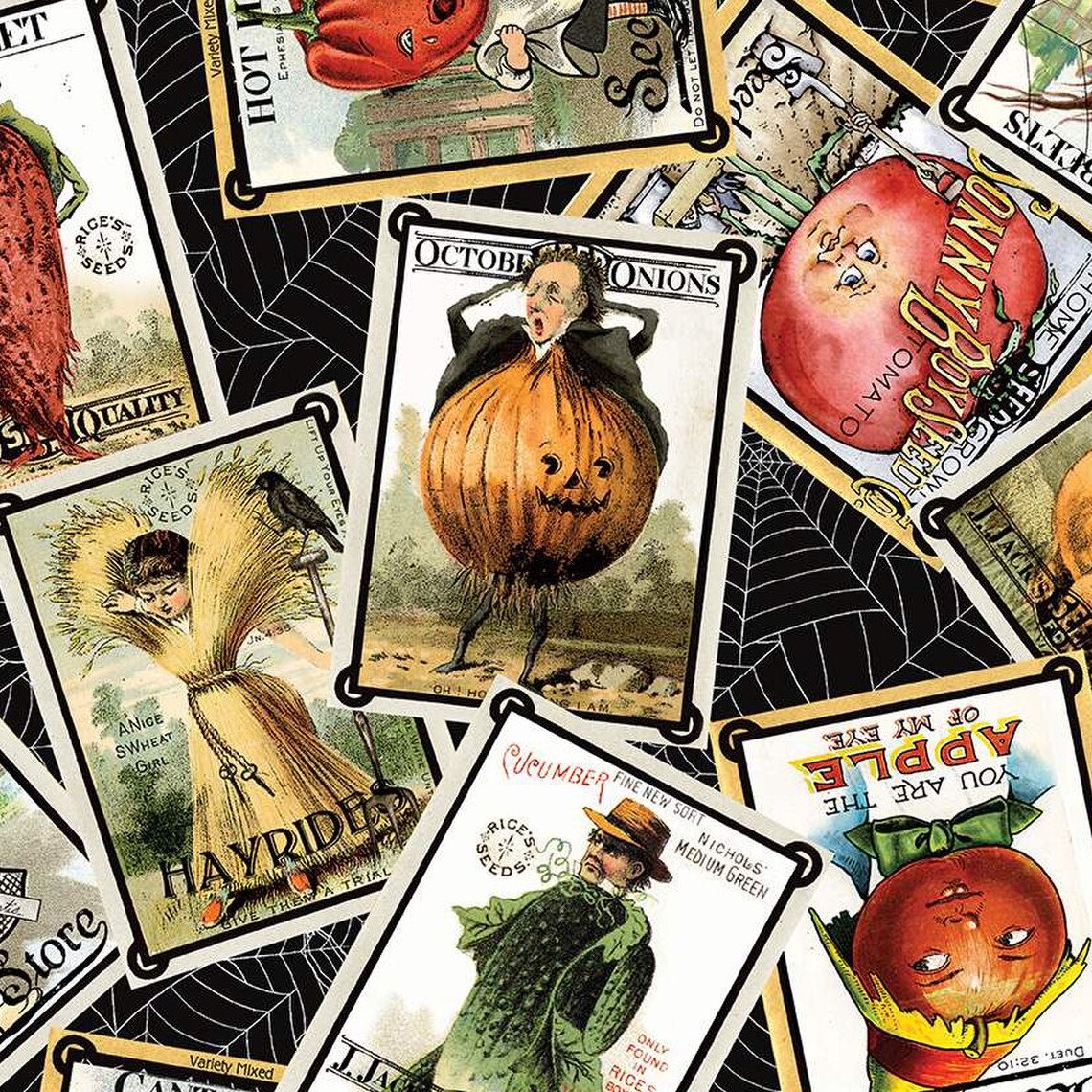 PUMPKIN PATCH Seed Packs Toss black