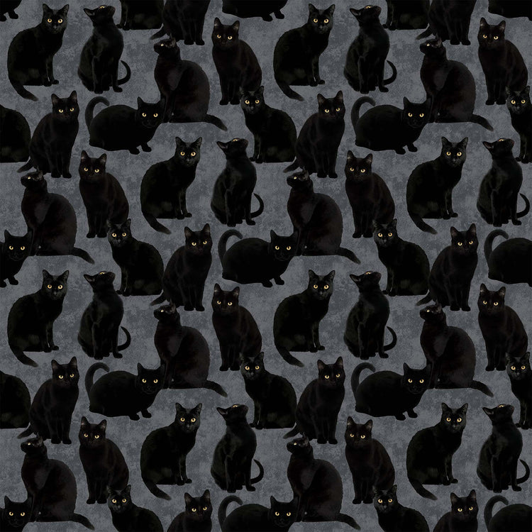 HALLOW'S EVE Black Cats gray black