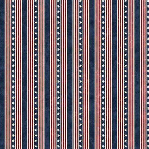 STARS AND STRIPES 13 Star Stripe beige multi