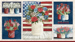 FARMHOUSE AMERICANA 5755 PA 24"x43"