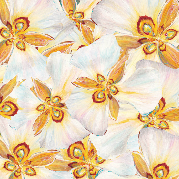 WILDFLOWER II Sego Lily Petals sunset