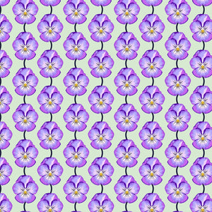 ICONIC Pansy lavender