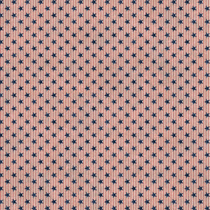 STARS AND STRIPES 13 Stars & Stripes navy multi