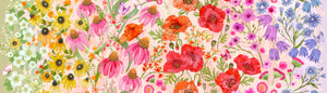 SUPERBLOOM Wildflowers Ombre pastel