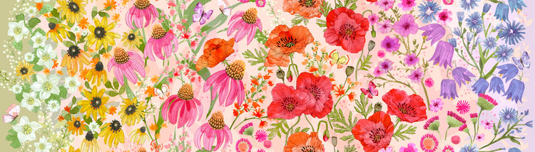 SUPERBLOOM Wildflowers Ombre pastel
