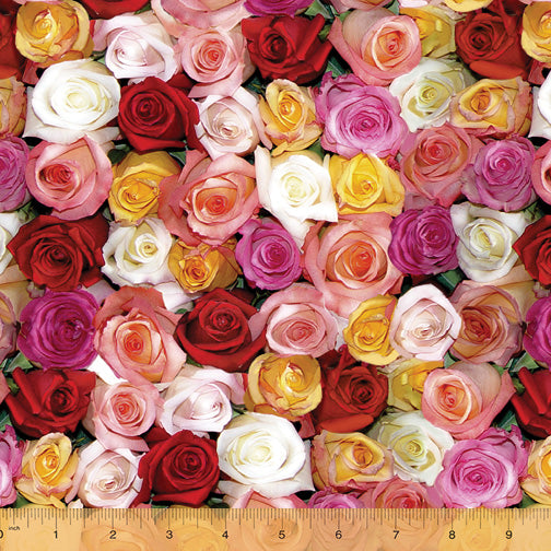 ONE OF A KIND ROSES 50906 - one yards