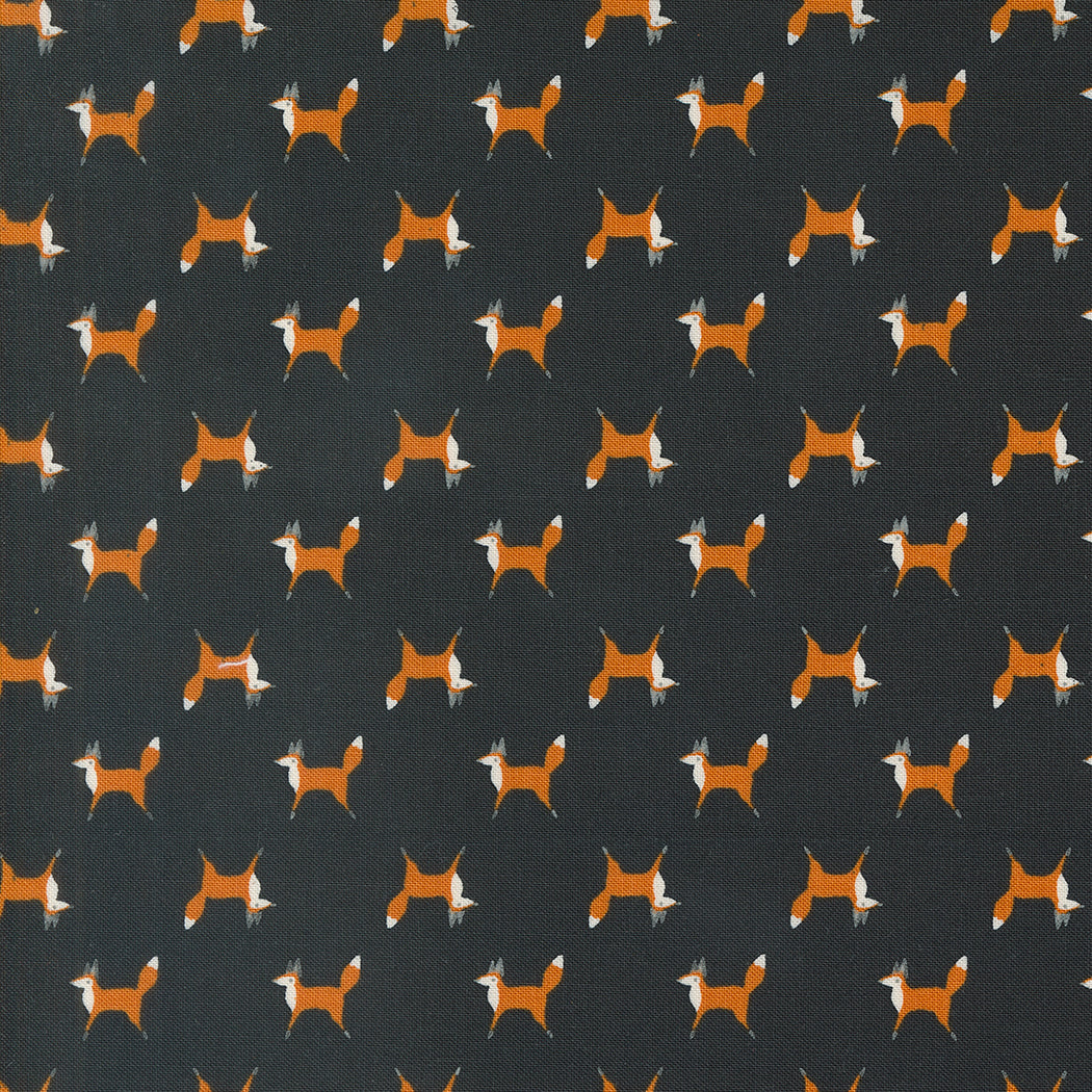 WOODLAND WONDER Fox Trot midnight