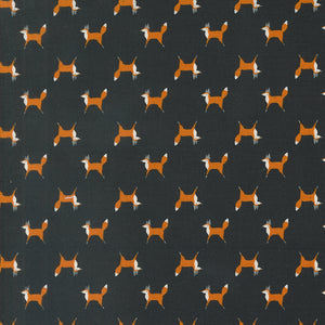 WOODLAND WONDER Fox Trot midnight