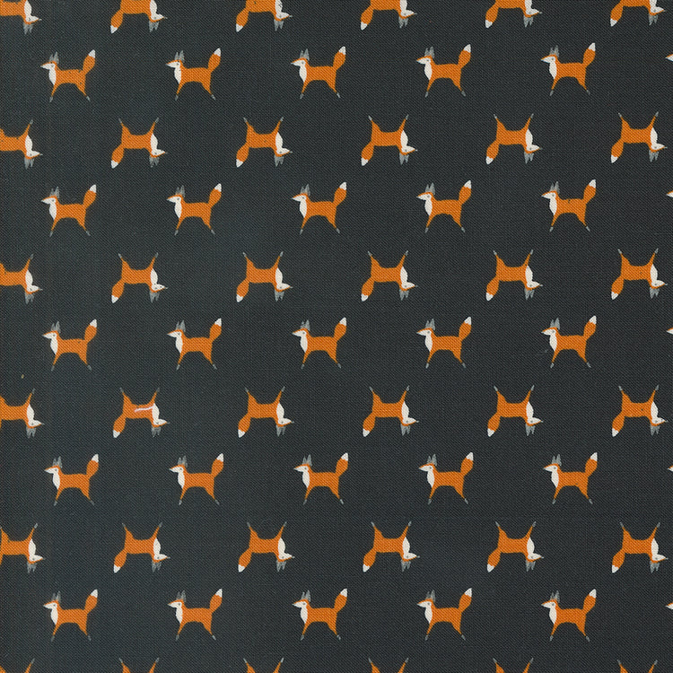 WOODLAND WONDER Fox Trot midnight