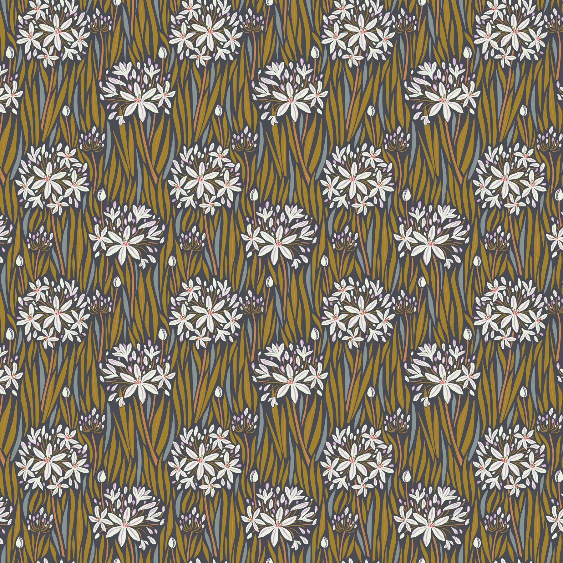 WANDERING EYE Agapantha neutral