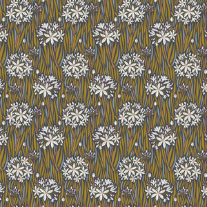 WANDERING EYE Agapantha neutral
