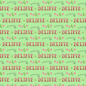 SO MUCH JOY! Believe and Merry lime