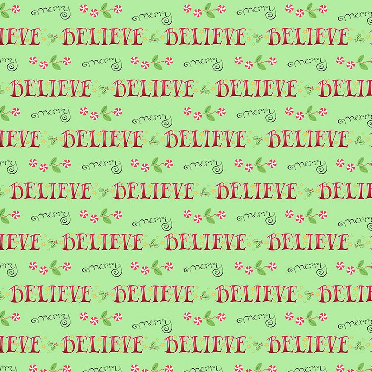 SO MUCH JOY! Believe and Merry lime