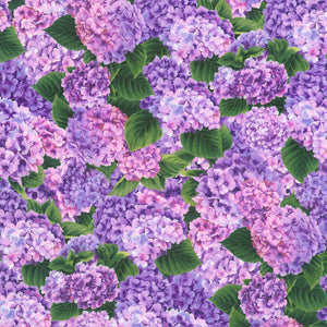 HYDRANGEA GRACE 22990-19 orchid