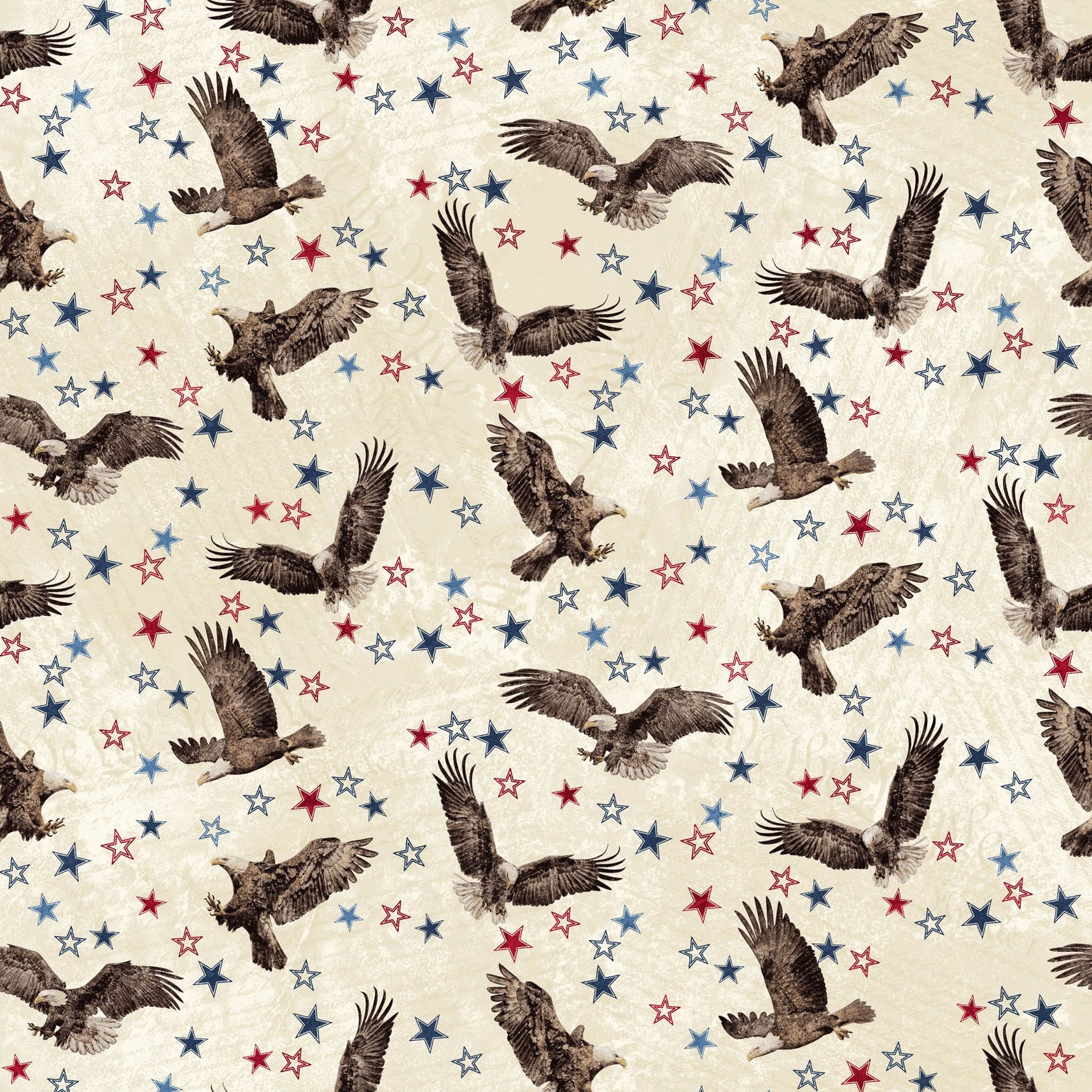 STARS AND STRIPES 13 Eagles beige multi