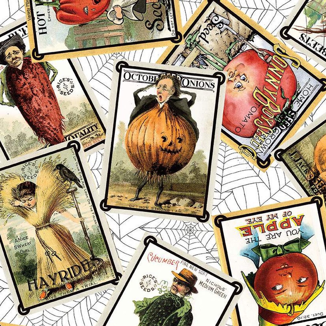 PUMPKIN PATCH Seed Packs Toss white