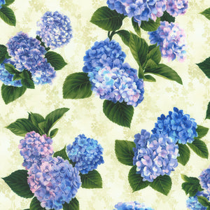 HYDRANGEA GRACE 22988-14 natural