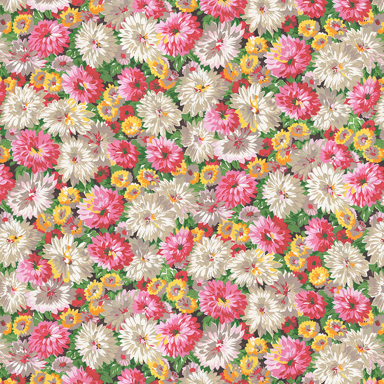 COTTAGE GARDEN Daisy Extravaganza multi