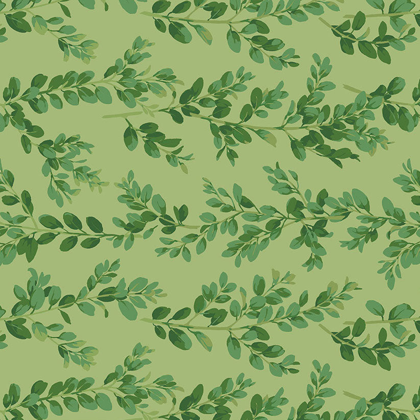 WINTERBERRY Boxwood green