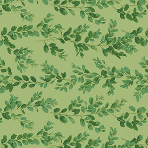 WINTERBERRY Boxwood green