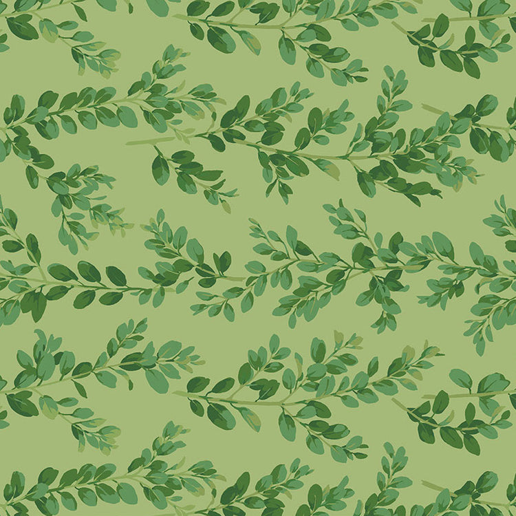 WINTERBERRY Boxwood green