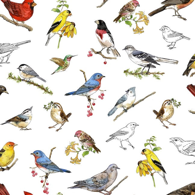 DRAWN TO BIRDS Tossed Birds white