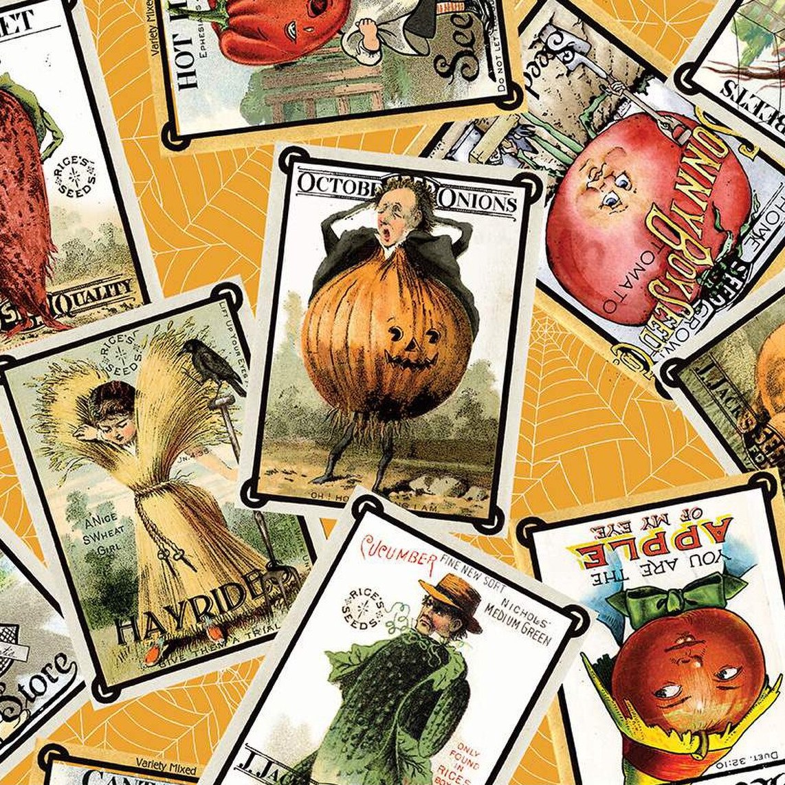 PUMPKIN PATCH Seed Packs Toss orange