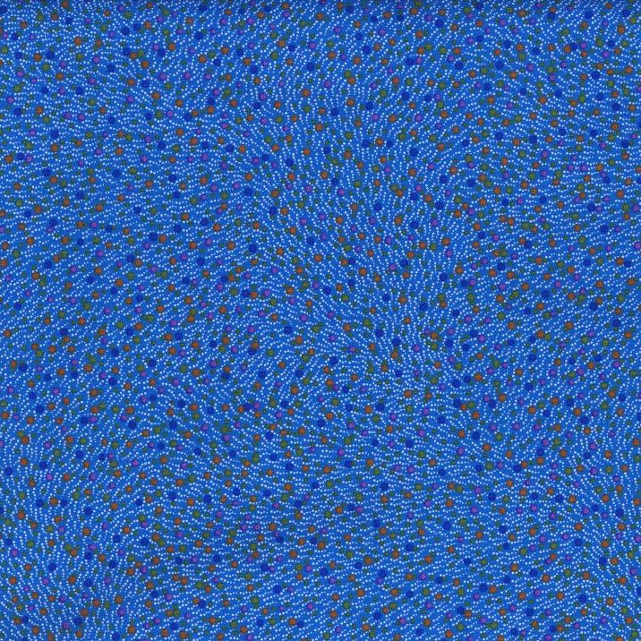 AUSTRALIAN Bush Worm blue