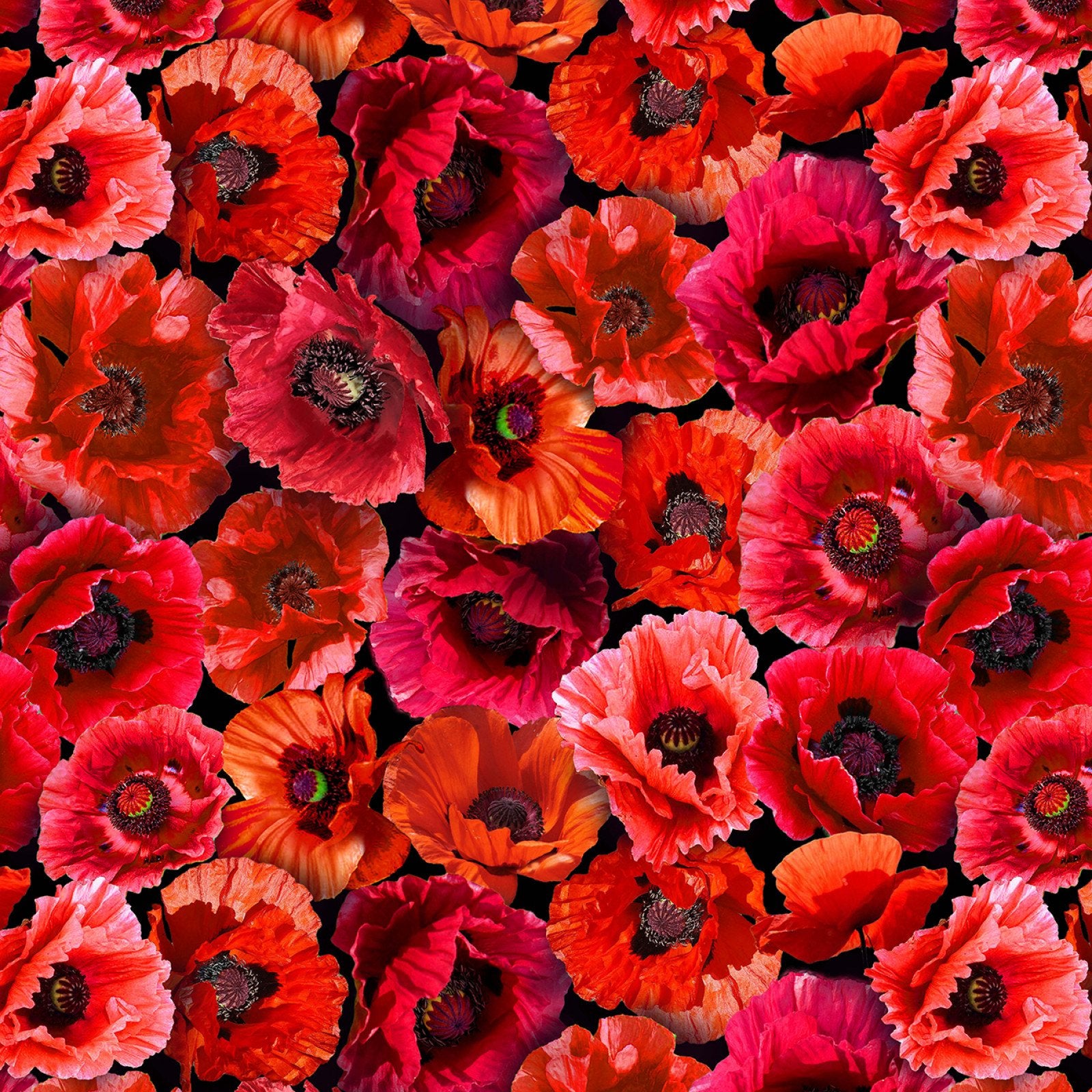 POPPY LOVE DCX 11770