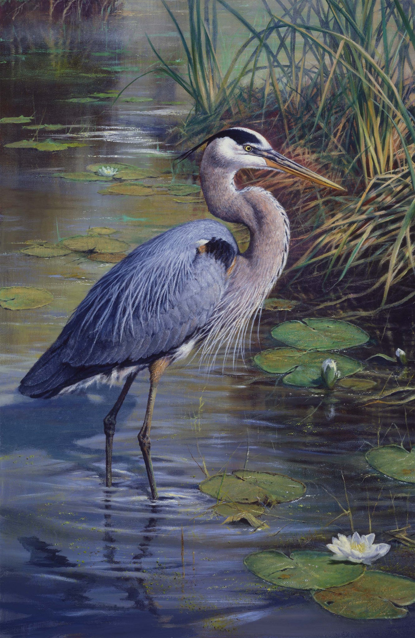 THE GREAT BLUE 28"x43"