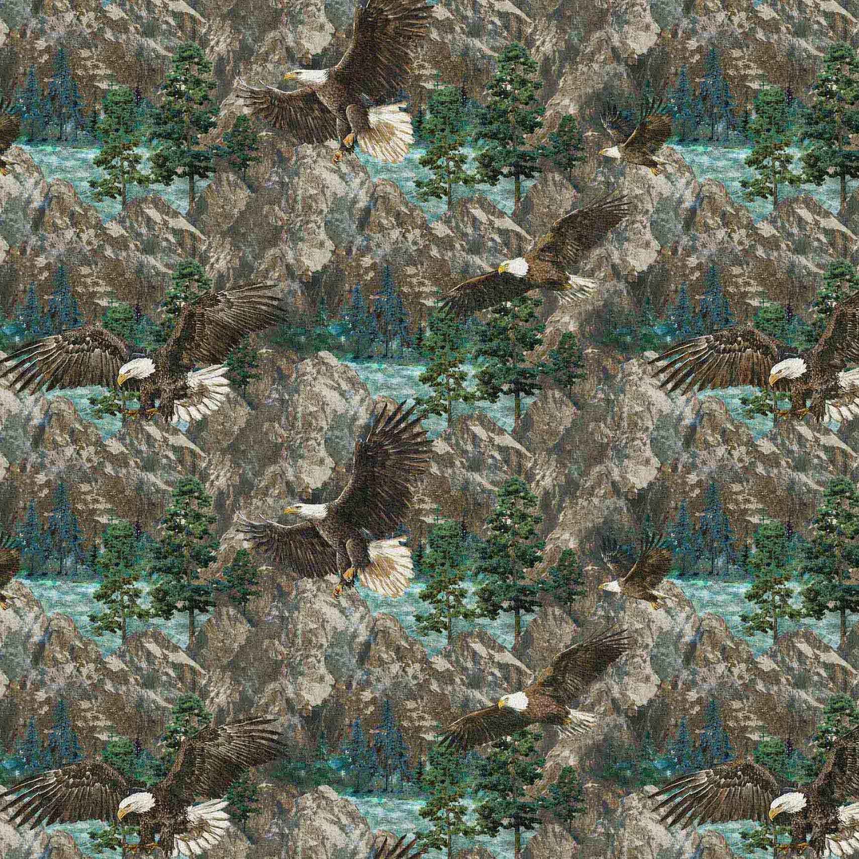 STONEHENGE EAGLE PASS Eagle Scenic blue multi