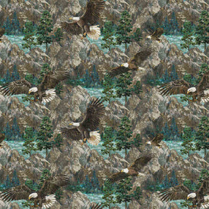 STONEHENGE EAGLE PASS Eagle Scenic blue multi
