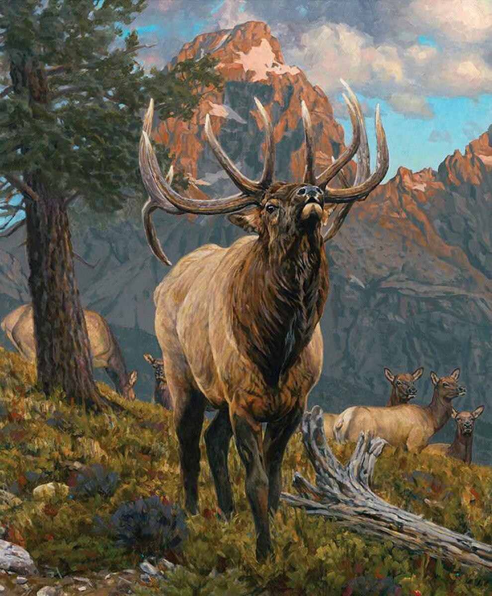 MAJESTIC IN NATURE Grand Elk Panel 36"x43"