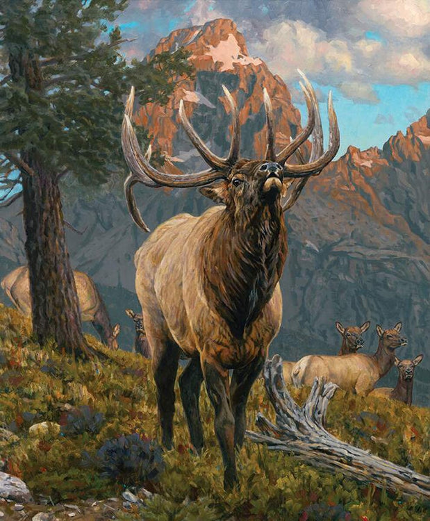 MAJESTIC IN NATURE Grand Elk Panel 36"x43"