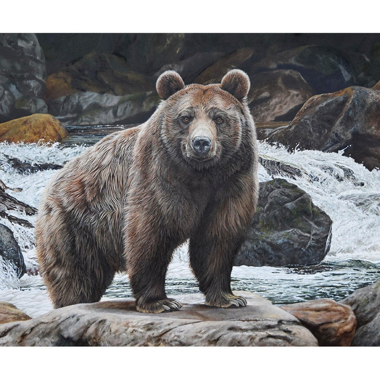 MAJESTIC IN NATURE No Fish Today 36"x43"
