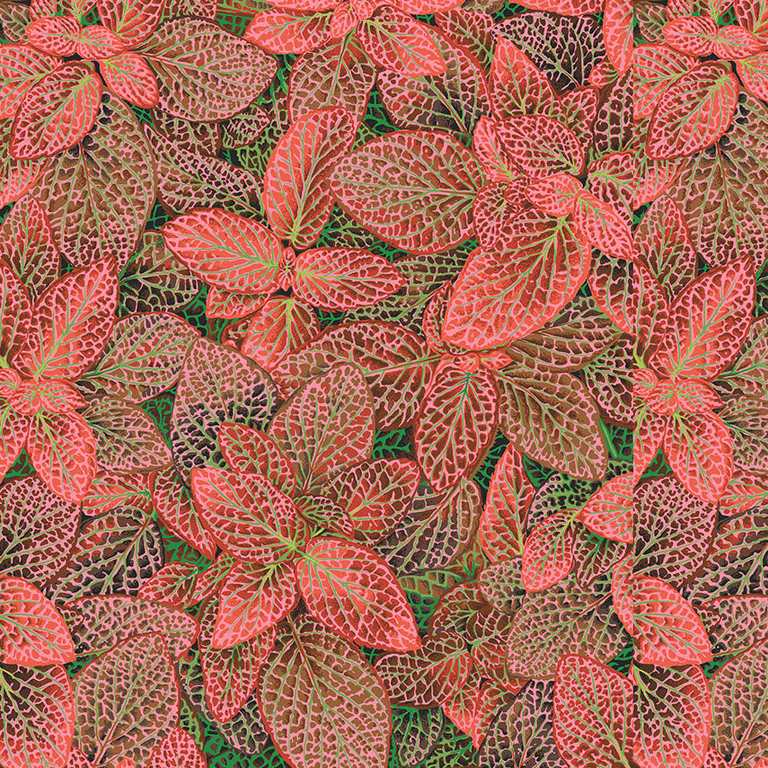 FITTONIA red NEW