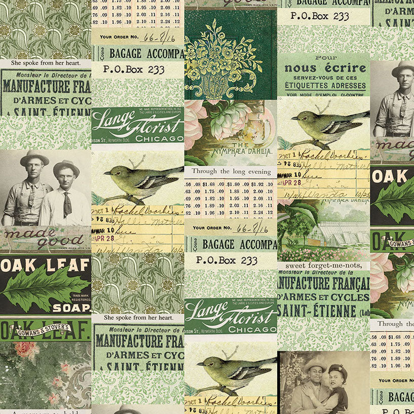 PALETTE GREEN Collage