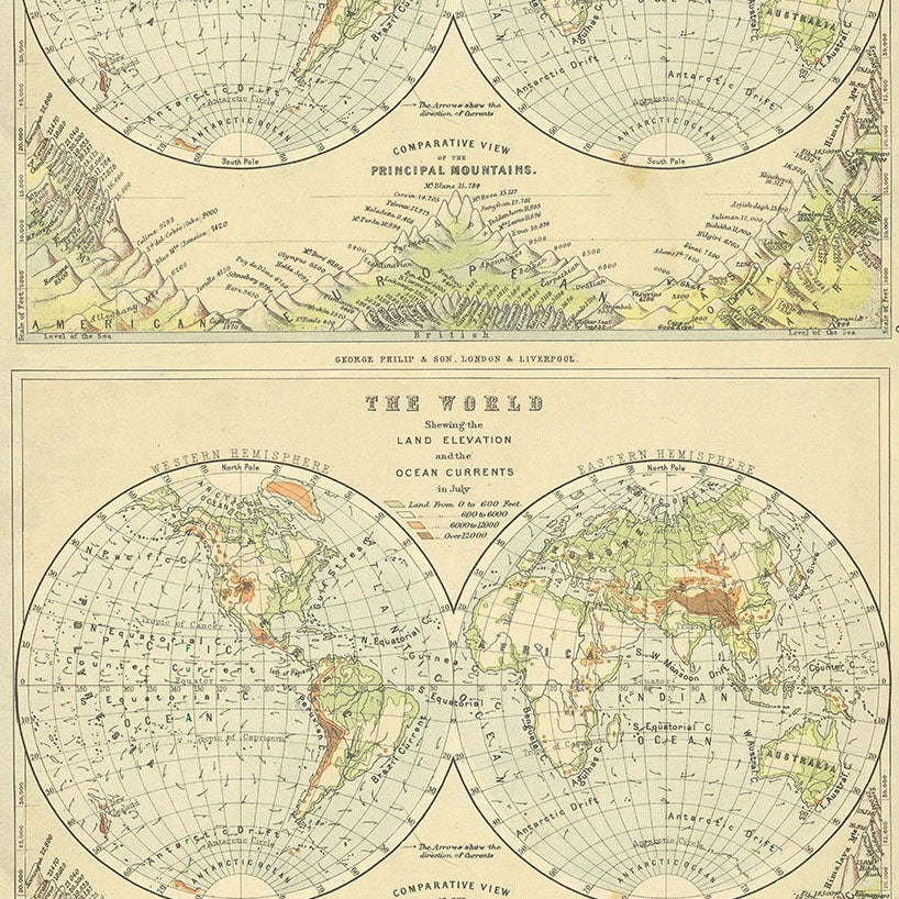PALETTE GREEN Map