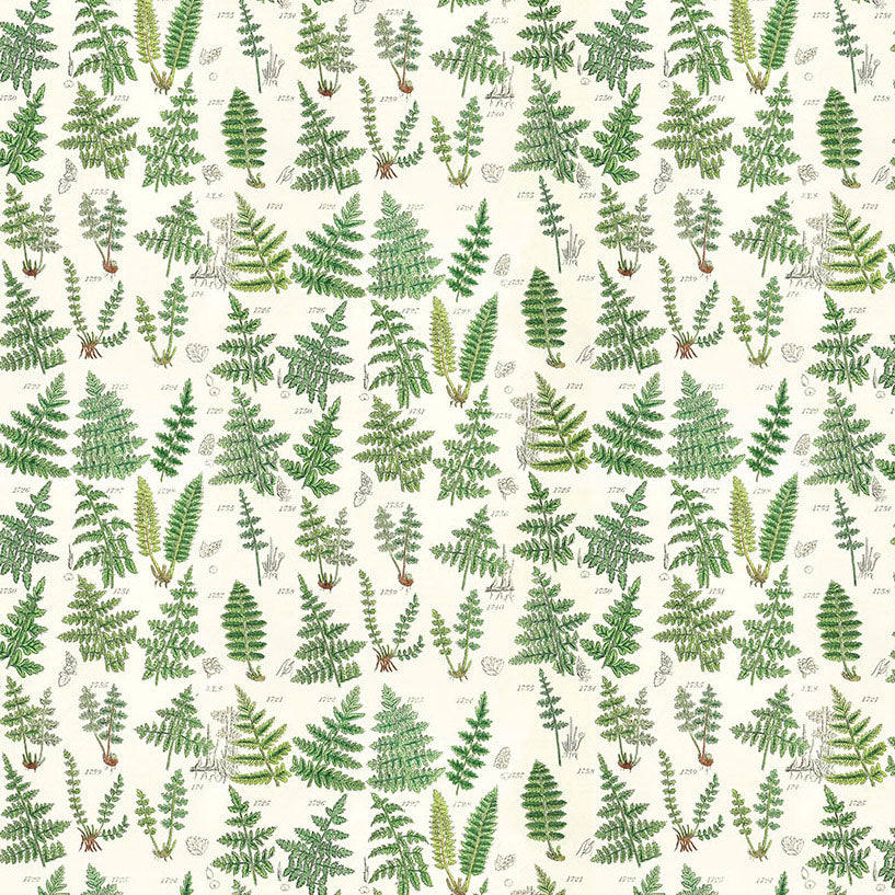 PALETTE GREEN Ferns